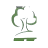 KLG Landscape tree logo